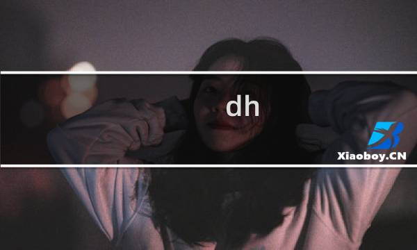 dh dps攻略