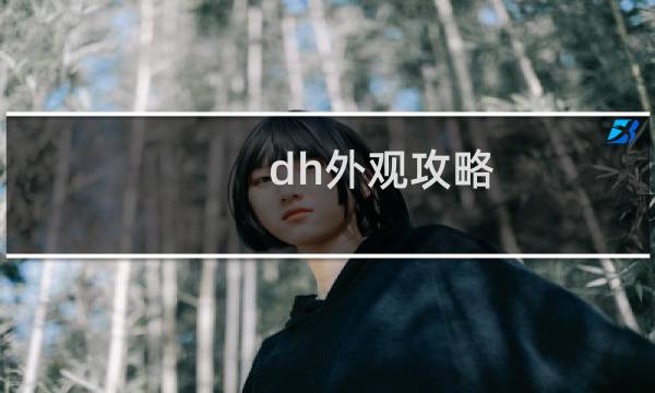 dh外观攻略