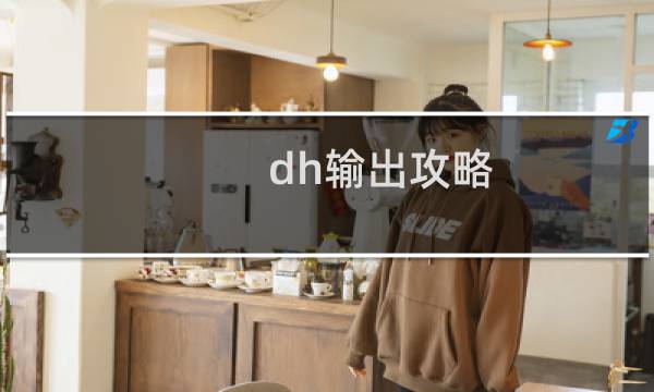 dh输出攻略
