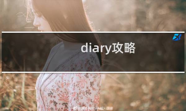 diary攻略