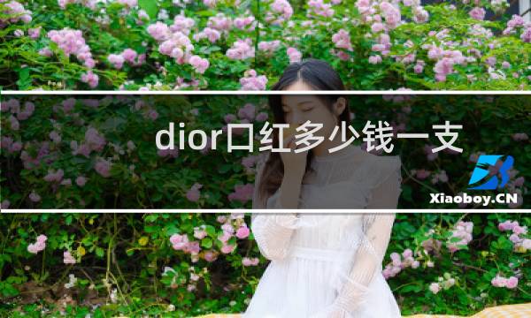 dior口红多少钱一支