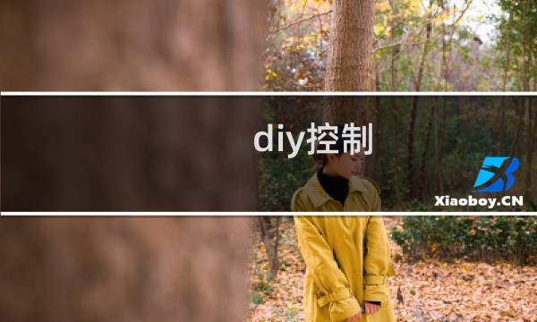 diy控制