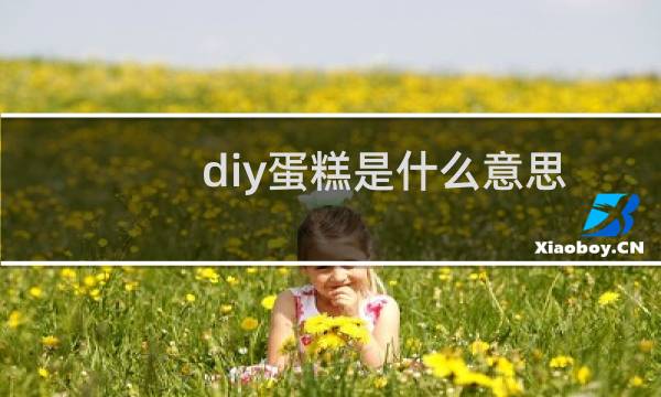 diy蛋糕是什么意思