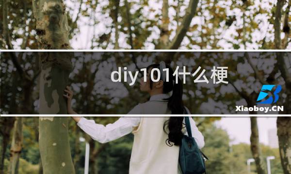 diy101什么梗