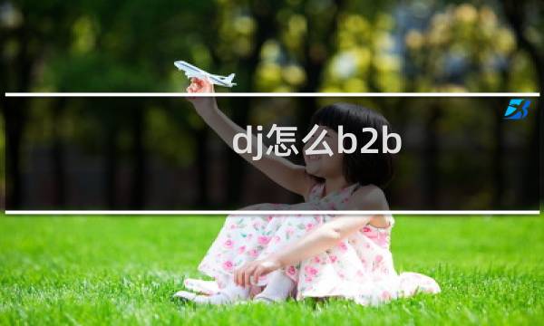 dj怎么b2b