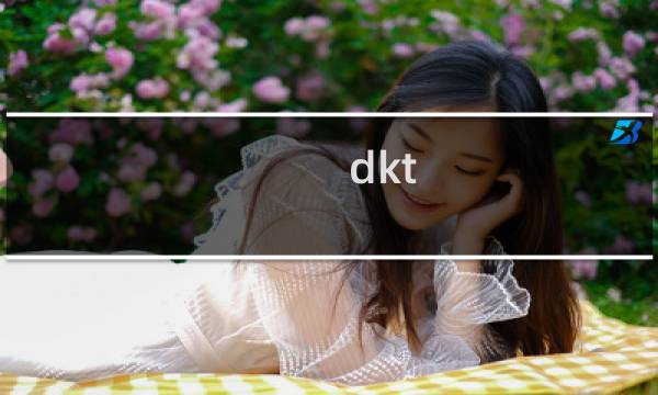 dkt 挑战攻略