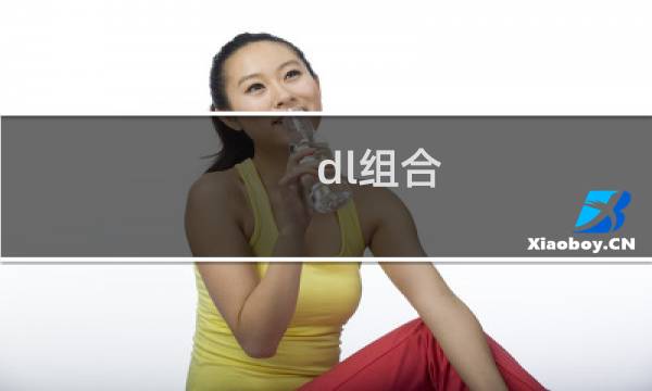 dl组合