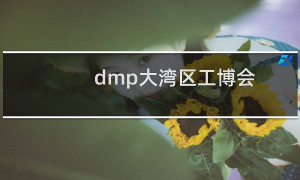 dmp大湾区工博会
