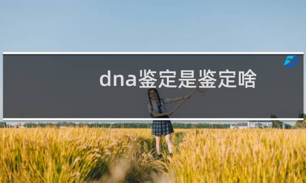 dna鉴定是鉴定啥