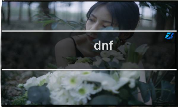 dnf 小鸡农场攻略