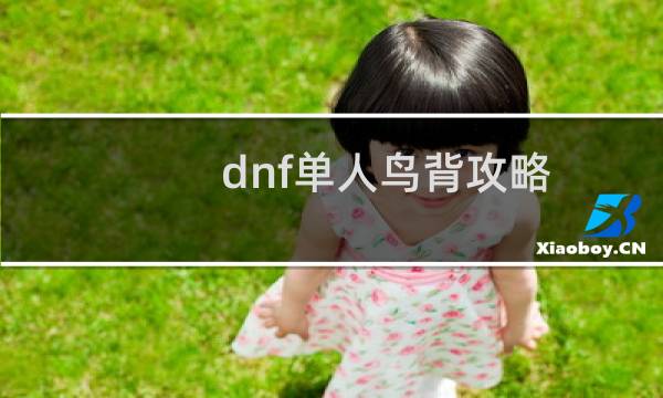 dnf单人鸟背攻略