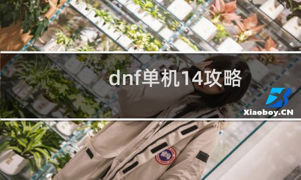 dnf单机14攻略