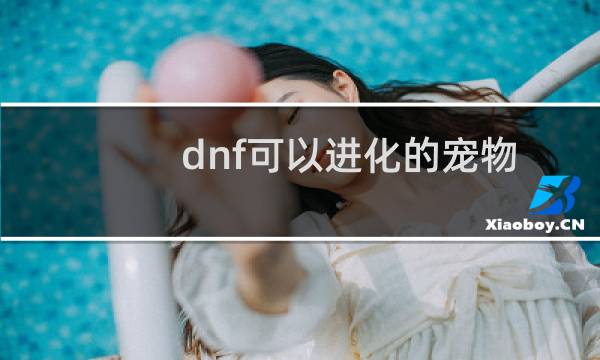 dnf可以进化的宠物