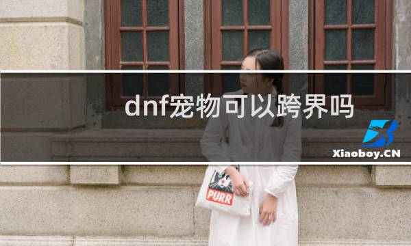 dnf宠物可以跨界吗