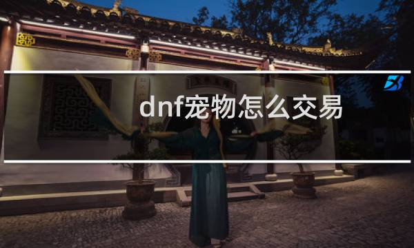 dnf宠物怎么交易