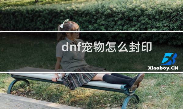 dnf宠物怎么封印