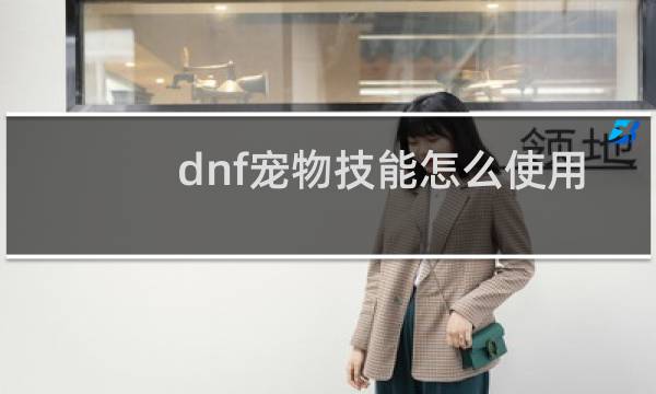 dnf宠物技能怎么使用