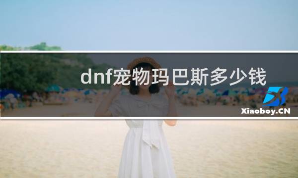 dnf宠物玛巴斯多少钱