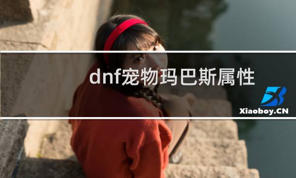 dnf宠物玛巴斯属性