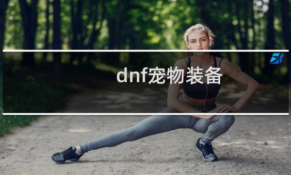 dnf宠物装备