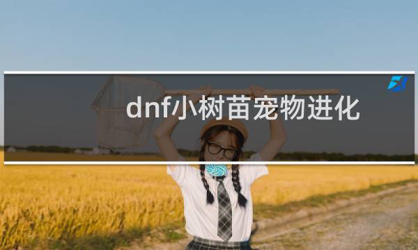 dnf小树苗宠物进化