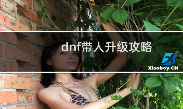 dnf带人升级攻略