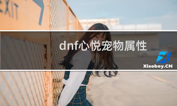 dnf心悦宠物属性