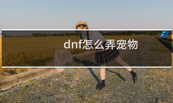 dnf怎么弄宠物