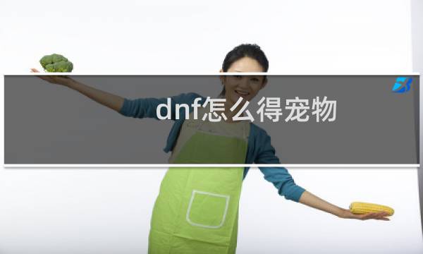 dnf怎么得宠物