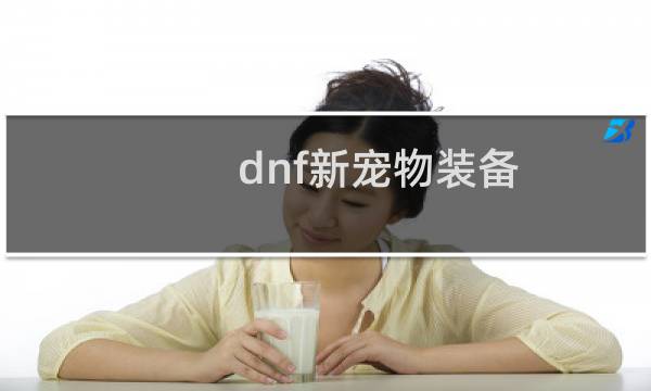 dnf新宠物装备