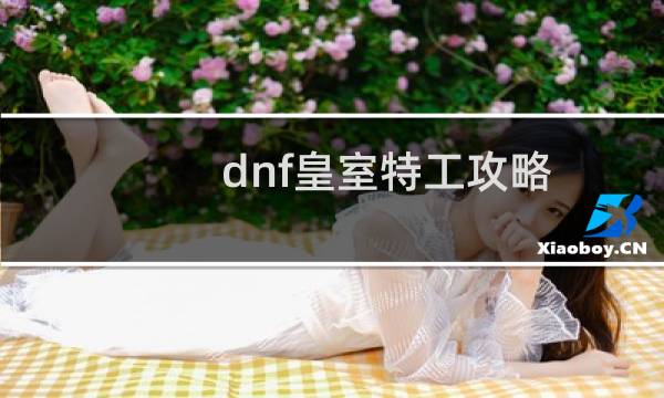 dnf皇室特工攻略