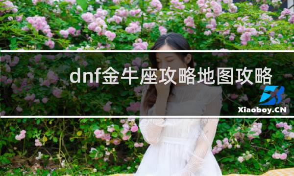 dnf金牛座攻略地图攻略