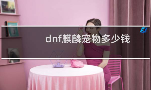 dnf麒麟宠物多少钱