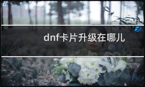 dnf卡片升级在哪儿（dnf卡片升级在哪）