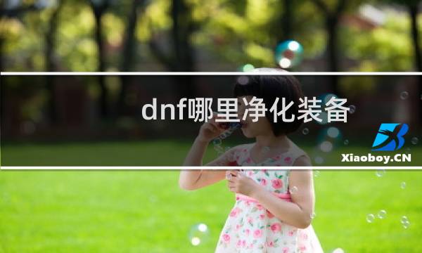 dnf哪里净化装备（dnf净化装备要多少钱）图片