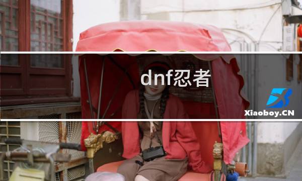 dnf忍者/毕方之炎/不知火BUFF完美换装