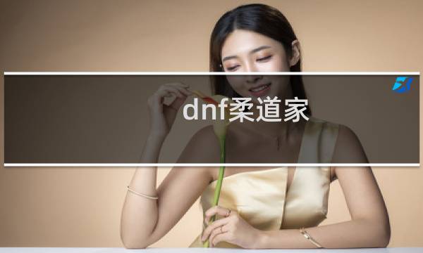 dnf柔道家
