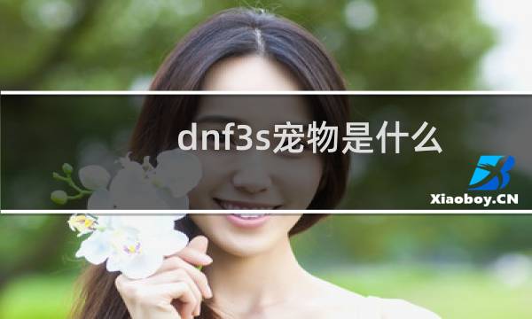 dnf3s宠物是什么
