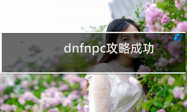 dnfnpc攻略成功