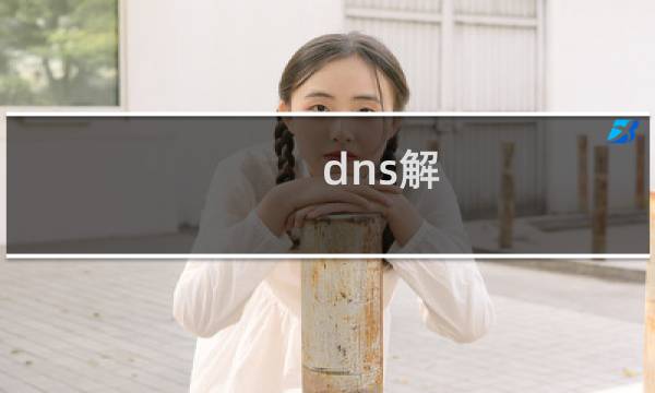 dns解