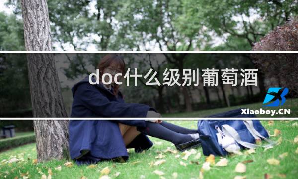 doc什么级别葡萄酒