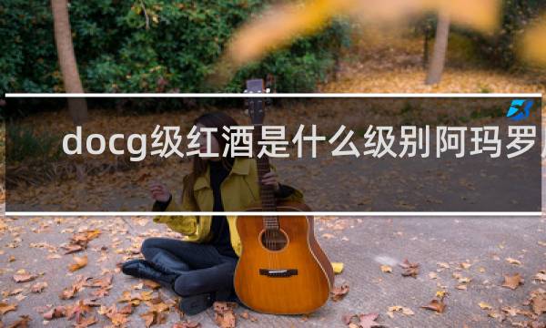 docg级红酒是什么级别阿玛罗尼