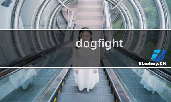 dogfight 攻略 xbox