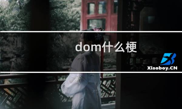 dom什么梗？什么梗