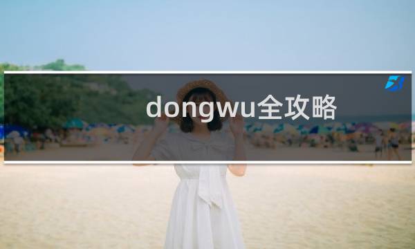 dongwu全攻略