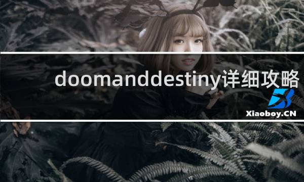 doomanddestiny详细攻略