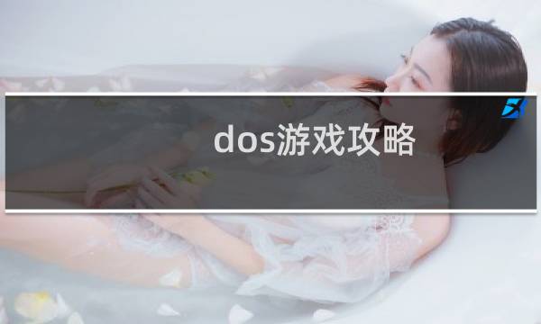 dos游戏攻略