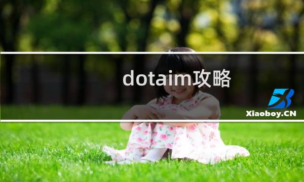 dotaim攻略