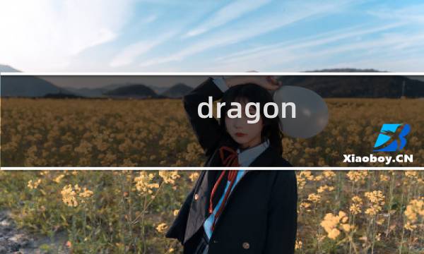 dragon ball攻略