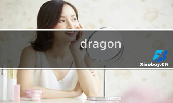 dragon prison 攻略
